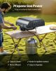 Outdoor Pizza Oven, 12 in Propane Gas Pizza Maker, Portable Pizza-Cooker with Electric Rotation, Thickened Pizza-Stone, Carry Bag